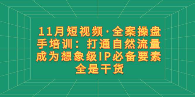 11月短视频·全案操盘手培训：打通自然流量 成为想象级IP必备要素 全是干货-巴叔叔资源网