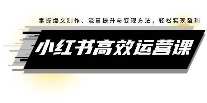 小红书高效运营课：掌握爆文制作、流量提升与变现方法，轻松实现盈利-巴叔叔资源网