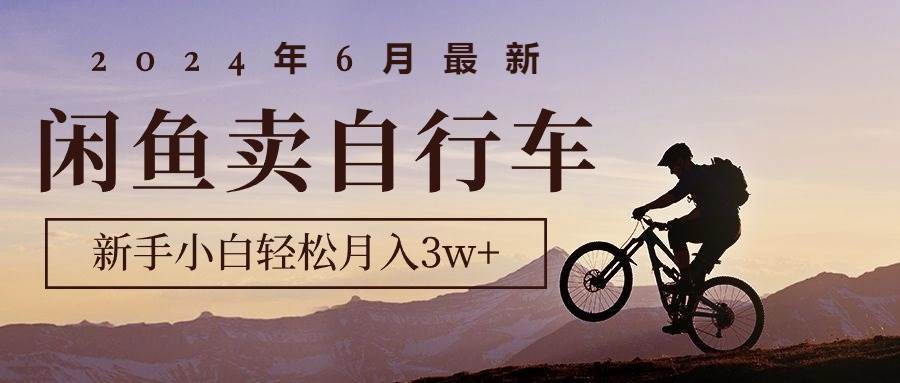 2024年6月最新闲鱼卖自行车，新手小白轻松月入3w+项目-巴叔叔资源网