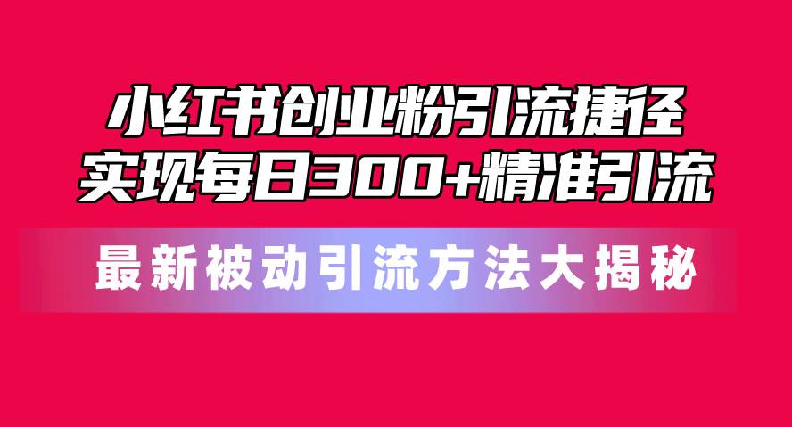 小红书创业粉引流捷径！最新被动引流方法大揭秘，实现每日300+精准引流-巴叔叔资源网