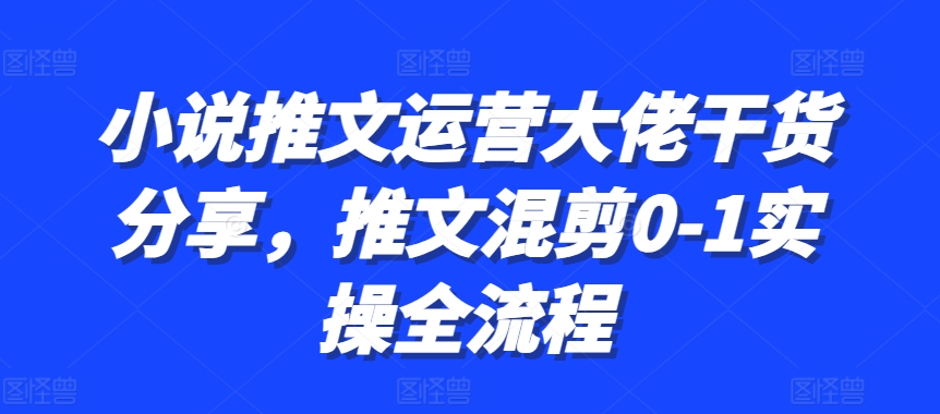 小说推文运营大佬干货分享，推文混剪0-1实操全流程-巴叔叔资源网