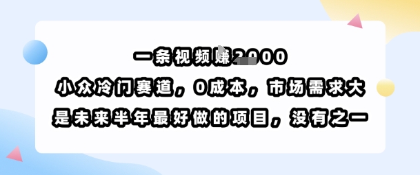 一条视频挣1k，小众冷门赛道，0成本，市场需求大，是未来半年最好做的项目，没有之一-巴叔叔资源网