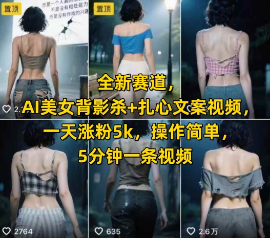 全新赛道，AI美女背影杀+扎心文案视频，一天涨粉5k，操作简单，5分钟一条视频-巴叔叔资源网