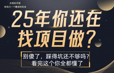 25年，你还在疯狂的找项目吗？别傻了，看完这个你都懂了【揭秘】-巴叔叔资源网