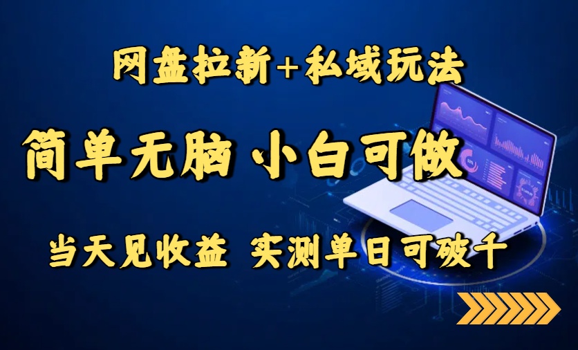 网盘拉新+私域玩法，简单无脑，小白可做，当天见收益，实测单日可破千-巴叔叔资源网