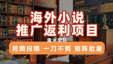 海外小说推广返利项目，视频投喂， 一刀不剪，矩阵批量-巴叔叔资源网