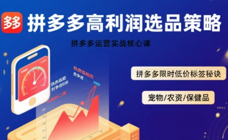 拼多多选品暴利技术实战课，拼多多高利润选品策略，拼多多限时低价标签秘诀-巴叔叔资源网