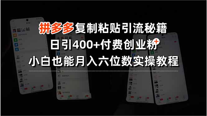拼多多复制粘贴引流秘籍，日引400+付费创业粉，小白也能月入六位数实操…-巴叔叔资源网