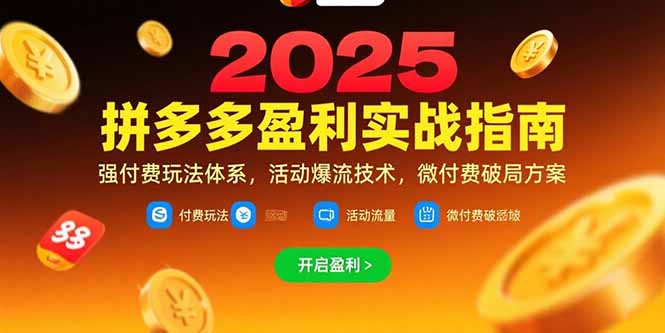 拼多多盈利实战指南，强付费玩法，活动爆流技术，微付费破局方案(更新7月-巴叔叔资源网