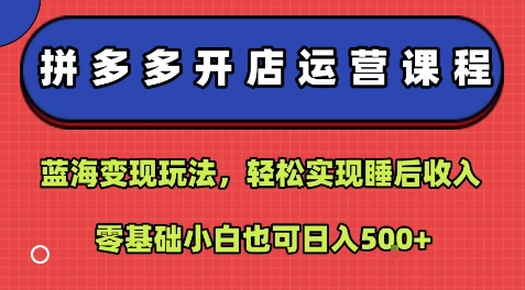 拼多多开店运营课程：蓝海变现玩法，轻松实现睡后收入，零基础小白也可日入5张-巴叔叔资源网