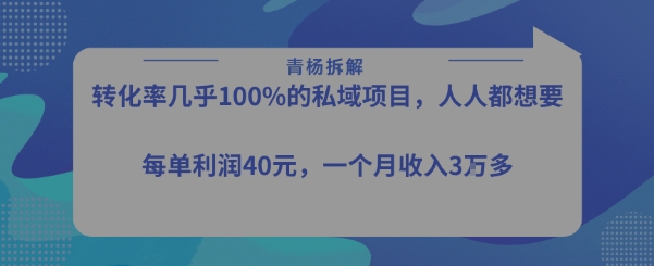 转化率最高的私域项目，每单利润40-50米，月入过1w-巴叔叔资源网