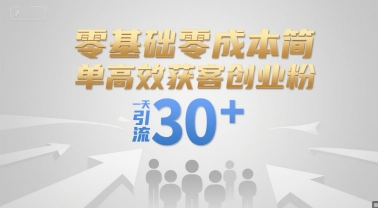 零基础零成本简单高效获客创业粉，一天引流30+-巴叔叔资源网