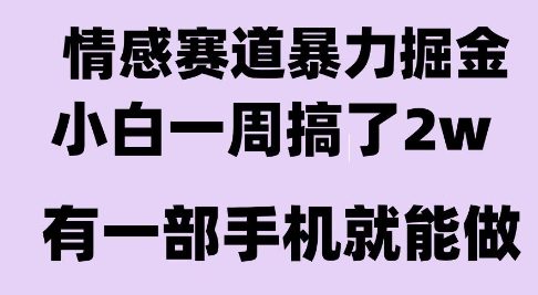 情感暴力掘金项目，新人操作一周挣了2W，长期稳定小白可做【揭秘】-巴叔叔资源网