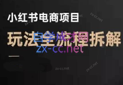 菲菲老师·小红书电商玩法(更新7月)-巴叔叔资源网