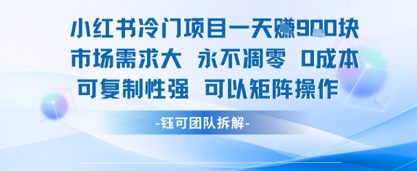 小红书冷门项目一天收益9张，市场需求大，0成本，可复制性强可以矩阵操作-巴叔叔资源网