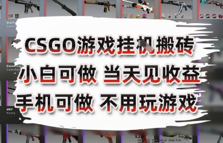 CSGO游戏挂G搬砖，小白纯手机即可操作，不用电脑打游戏，日入3张+，副业网创项目【揭秘】-巴叔叔资源网