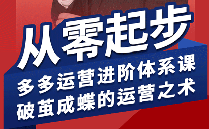 海神·拼多多运营进阶系统课(更新8月)-巴叔叔资源网
