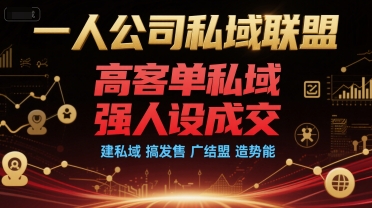 一人公司私域联盟，高客单私域，强人设成交，建私域 搞发售 广结盟 造势能-巴叔叔资源网