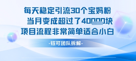 每天稳定引流30个人 当月变成超过了4个W项目流程非常简单适合小白-巴叔叔资源网