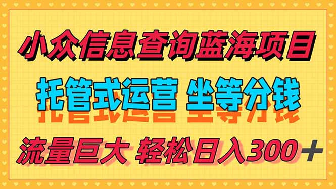 稳定日入300＋，小众信息查询蓝海项目，全程懒人式托管，解放你的时间-巴叔叔资源网
