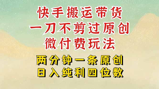 快手黑科技搬运带货，一刀不剪过原创，微付费投流玩法，轻松日入四位数…-巴叔叔资源网