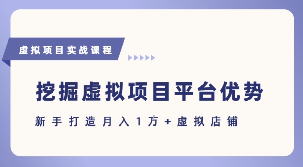 抓住虚拟项目各平台优势，新手轻松月入1W+(给出具体建议)-巴叔叔资源网