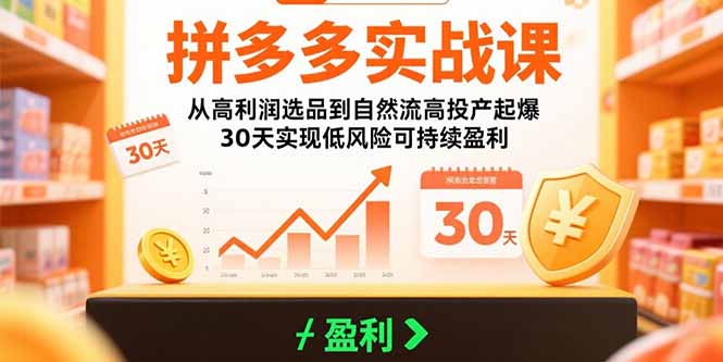 拼多多实战课：从高利润选品到自然流高投产起爆 30天实现低风险可持续盈利-巴叔叔资源网