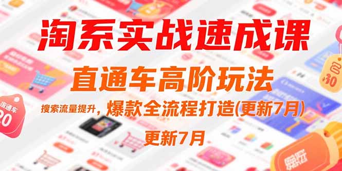 淘系实战速成课，直通车高阶玩法，搜索流量提升，爆款全流程打造(更新7月-巴叔叔资源网