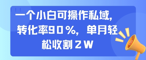 一个小白可操作私域，转化率90%，单月轻松收割2W-巴叔叔资源网
