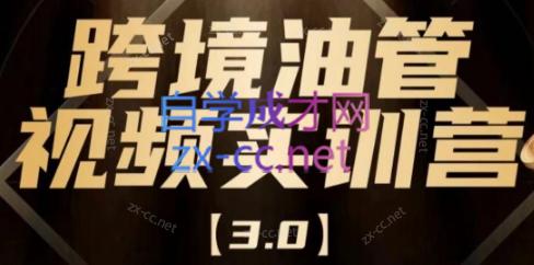 阿蔺Leo·跨境油管视频YouTube实训营(更新2025)-巴叔叔资源网