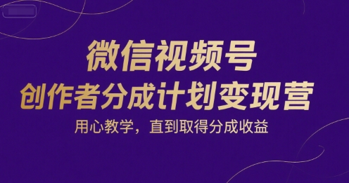 微信视频号创作者分成计划变现营，用心教学，直到取得分成收益-巴叔叔资源网