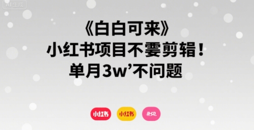 小白可来 小红书项目不需要剪辑 单月3w不是问题-巴叔叔资源网
