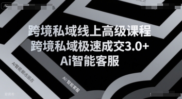 跨境私域线上高级课程，跨境私域极速成交3.0+Ai智能客服-巴叔叔资源网