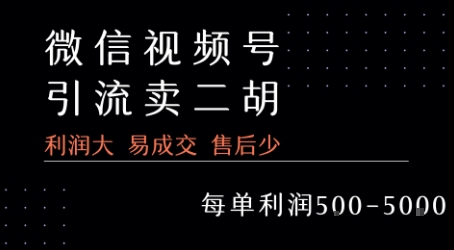 视频号卖二胡教程，利润大 易成交 售后少，一单利润5张+-巴叔叔资源网