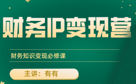 有有老师·财务IP变现营，财务知识变现必修课-巴叔叔资源网