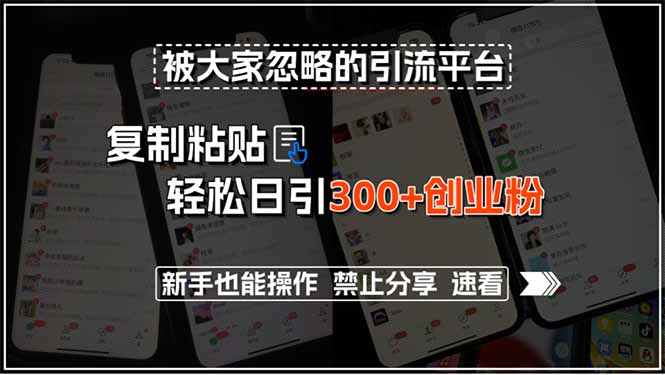 被大家忽略的引流平台，复制粘贴轻松日引300+创业粉，新手也能操作，禁…-巴叔叔资源网