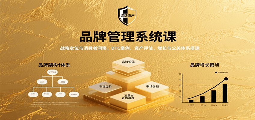 品牌管理系统课：战略定位与消费者洞察，DTC案例、资产评估，增长与公关体系搭建-巴叔叔资源网