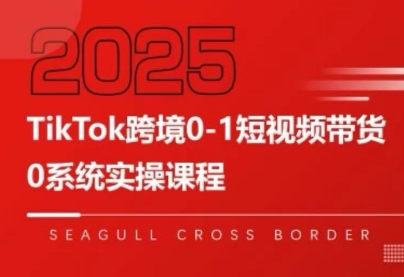 大亿老师·TikTok跨境0-1短视频带货-巴叔叔资源网