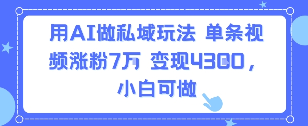 用AI做私域玩法，单条视频涨粉7W变现4.3k，小白可做-巴叔叔资源网