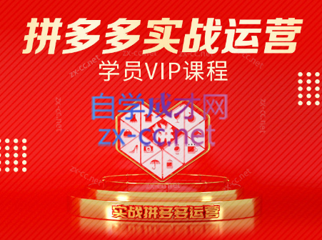 推易电商·拼多多实战运营课(更新2025月)-巴叔叔资源网