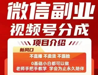 微信副业视频号分成，不直播 不卖货 不露脸，三五分钟即可完成一条作，每日收益几十、几张不等-巴叔叔资源网