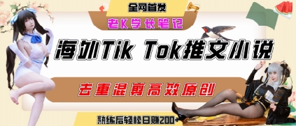 海外tiktok小说推文暴力项目，高停留率，高转化率，上手后一天搞顿饭钱不是问题-巴叔叔资源网