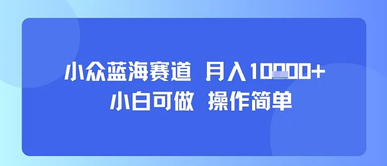 小众蓝海赛道，小白可做，操作简单，每天30分钟，月入1W+-巴叔叔资源网