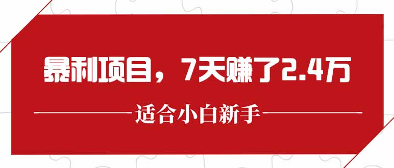 最新暴利项目，每单收益轻松在300以上，7天赚了2.4万-巴叔叔资源网