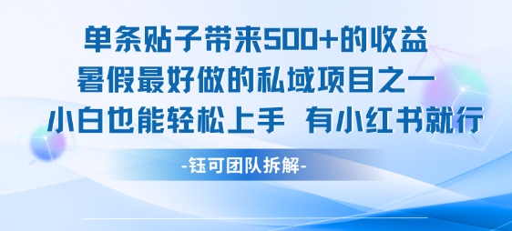 单条贴子带来5张的收益，暑假最好做的私域项目之一，小白也能轻松上手，有小红书就行-巴叔叔资源网