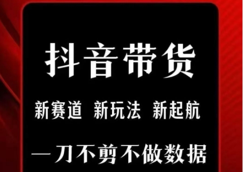 抖音短视频一刀不剪带货，不剪辑，不直播，每天发个视频，等着出单获取带货佣金-巴叔叔资源网