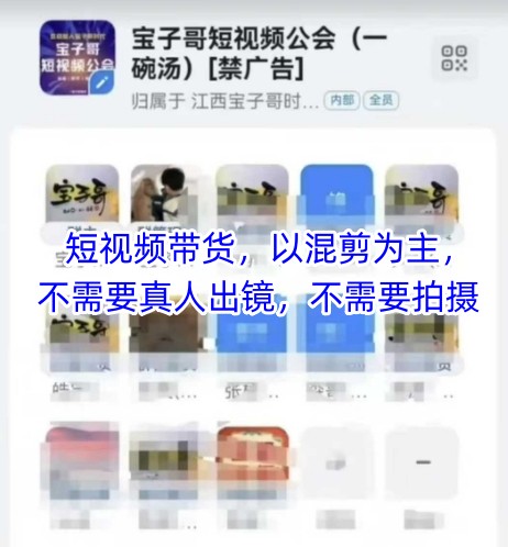 宝子哥头部团队短视频带货，以混剪为主，不需要真人出镜，不需要拍摄【更新6月】-巴叔叔资源网