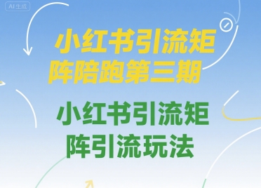 小红书引流矩阵陪跑第三期，小红书引流矩阵引流玩法-巴叔叔资源网