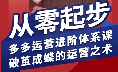 拼多多运营进阶系统课，从零起步，多多运营进阶体系课，破茧成蝶的运营之术-巴叔叔资源网
