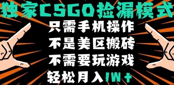 CSGO自动捡漏项目，最新独家玩法，不是美区搬砖，不需要了解和玩游戏，新手小白轻松月入1W+【揭秘】-巴叔叔资源网